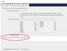 A user filter utilizing a custom LDAP schema